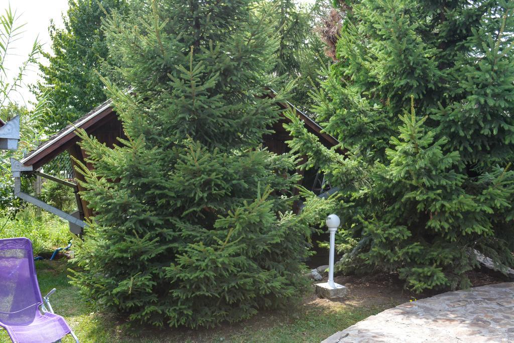 Camping Robinson Country Club Oradea Exterior foto